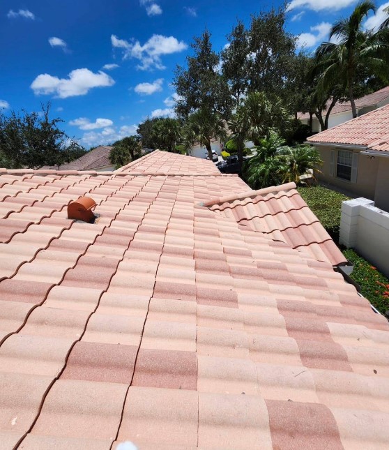 Dream-Team-Roofing-53