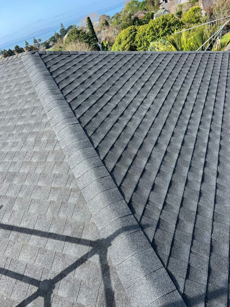 Asphalt Single Roof