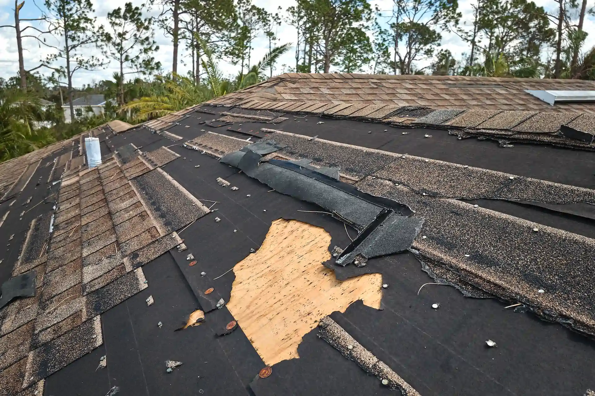storm damage repair fl